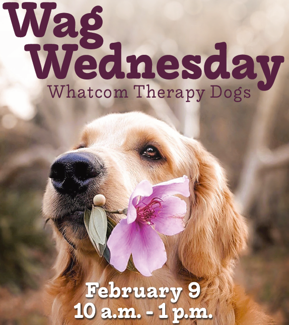 BhamTechCollege's tweet photo. Please join us for Wag Wednesday and destress with Whatcom Therapy Dogs. Dog and handler teams will be in the College Services lobby, Haskell Center lobby, and the Student Center from 10:00 a.m. to 1:00 p.m. on Wednesday, February 9. One person at a time with each furry friend! https://t.co/837OHCqTXG