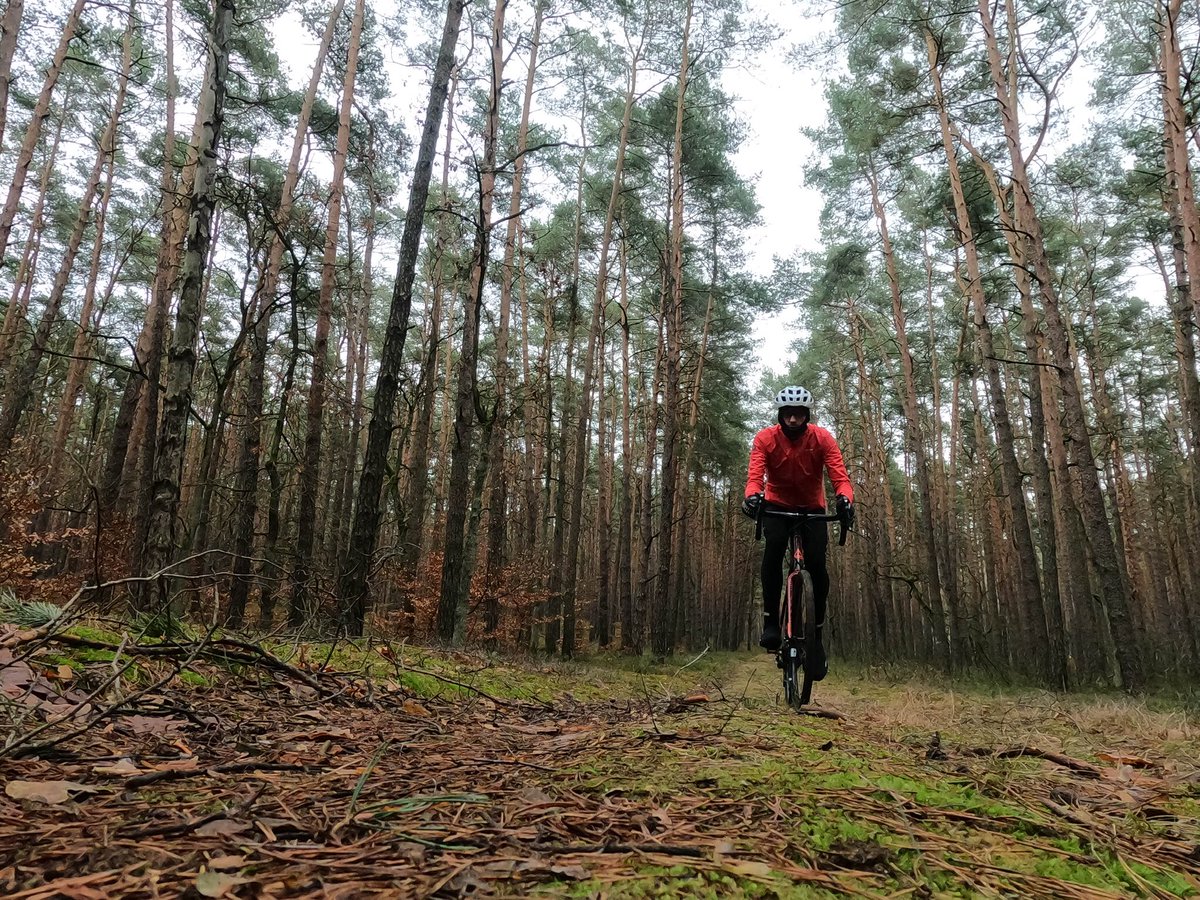 tripowerpl's tweet photo. 60 km po Puszczy Kampinoskiej. Sztos! #tripower #cyclinglife #gravel https://t.co/OAlBhiemSG