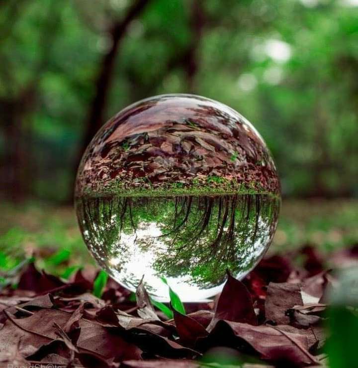 🔕…

❁ الوقت يعالج كل شيء .. ويهدم كل شيء .. حتى الذكريات الجميلة وأنبل العواطف....تموت ...
ويحل محلها نوع من الحكمة الباردة ....
التي تجعل كل شيء يهدأ🥀🔕.........