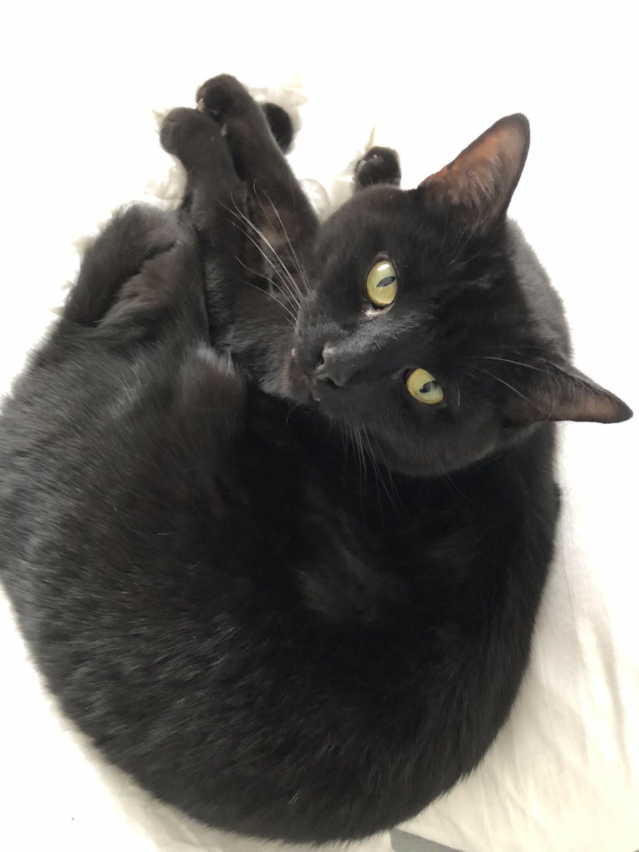 GemmaValpy's tweet photo. @cockonball https://t.co/ElUVR4ftef