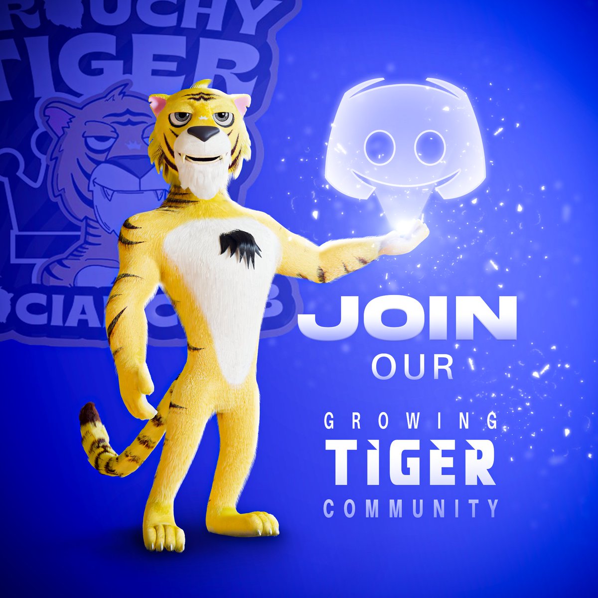 Grouchy Tiger Social Club 🐯🛡️ tweet media