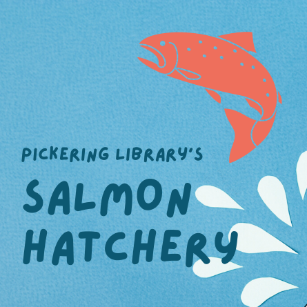 pickeringlibs's tweet photo. 🐟 Come to the Central Library and meet our salmon eggs in their egg condos in the lobby.
👉 To learn more about the Bring Back the Salmon initiative, please visit https://t.co/KMUZENGqm4 https://t.co/w8ZrLydJFO