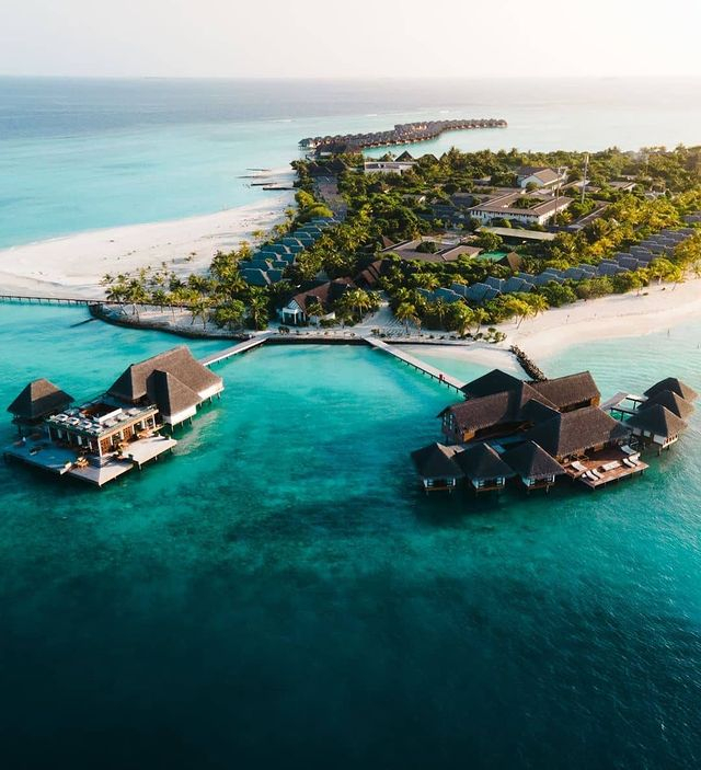 AngelfishTravel's tweet photo. Let this island serenade you with white sandy beaches, swaying palm trees, glittering azure waters and lush tropical gardens. @heritanceaarah
📸: @holdmycamera__
#HeritanceAarah #HeritanceHotelsAndResorts #AitkenSpenceHotels #Maldives #VisitMaldives #PremiumAllInclusive #Lu https://t.co/DqNB6Yu2Ou