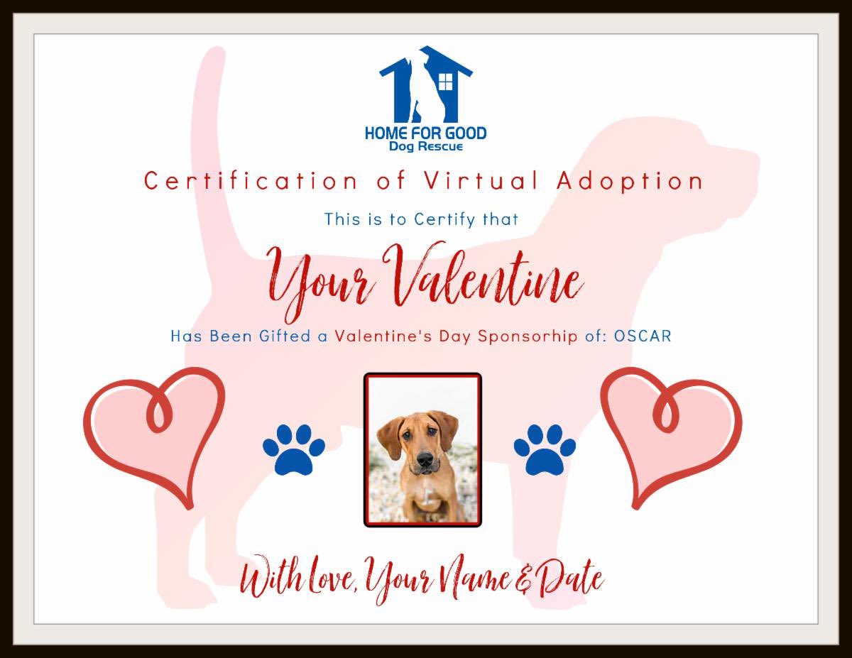 HomeforGoodDogs's tweet image. Looking for that PAW-fect Valentine’s Day gift? Look no further! Home for Good’s Virtual Adoption program: app.etapestry.com/onlineforms/Ho… 
provides foster families with all they need while housing a rescue waiting for their forever home. Let’s show these dogs the love they deserve ❤️🐾