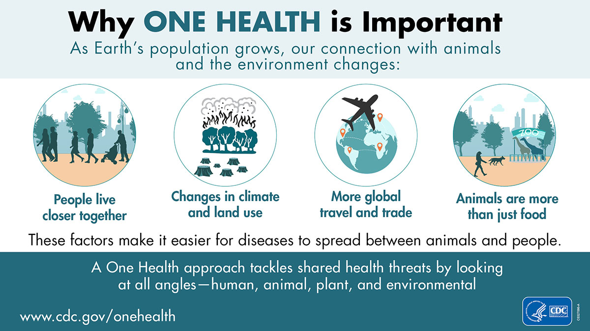 CDC_NCEZID's tweet photo. Because people 👨‍ and animals 🦌 (and their germs! 🦠) are living closer together than ever before. 🌎

Learn more about #OneHealth: https://t.co/GKPot2ED0N 
#WhyIOneHealth https://t.co/RYWRJuen00