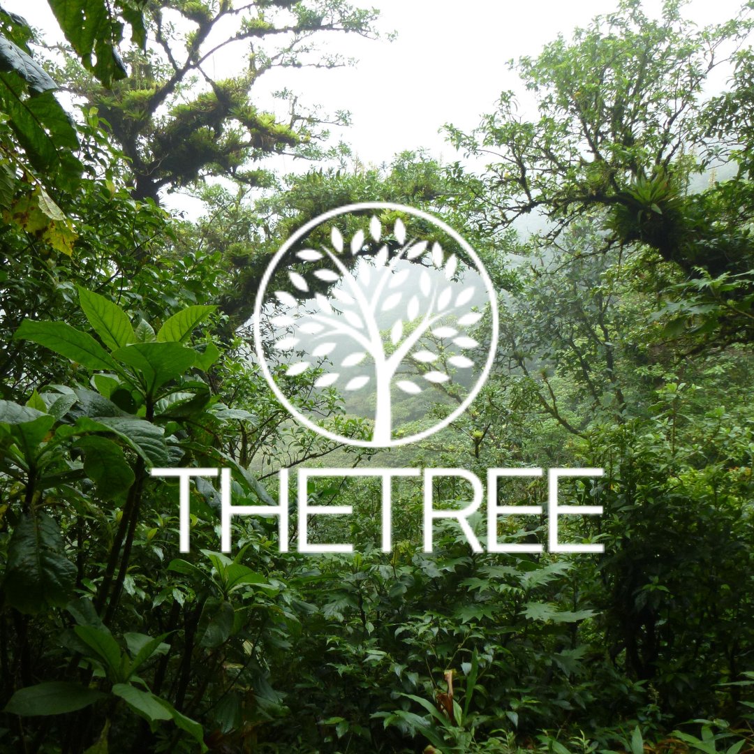 Thetreeio's tweet photo. The Tree Coin is the world's first cryptocurrency with a real security in the form of a cocobolo tree.
📲 Go to https://t.co/t1JpLyoeaR to learn more about THE TREE COIN

#cryptocurrency #opportunities #project #thetree #thetreecoin #cocobolo #token #sustainable  #environmental https://t.co/pBVLfKZeSA