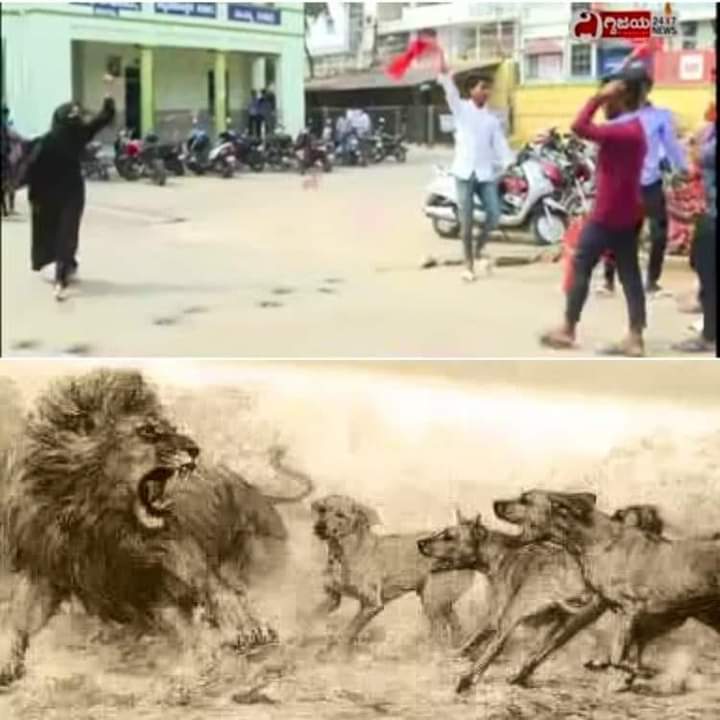 दरख्त नही हूं जो तुम काट कर चले जाओगे,
पहाड़ हूं गिराने मे तुम्हारी नसलें मिट जायेंगी ।