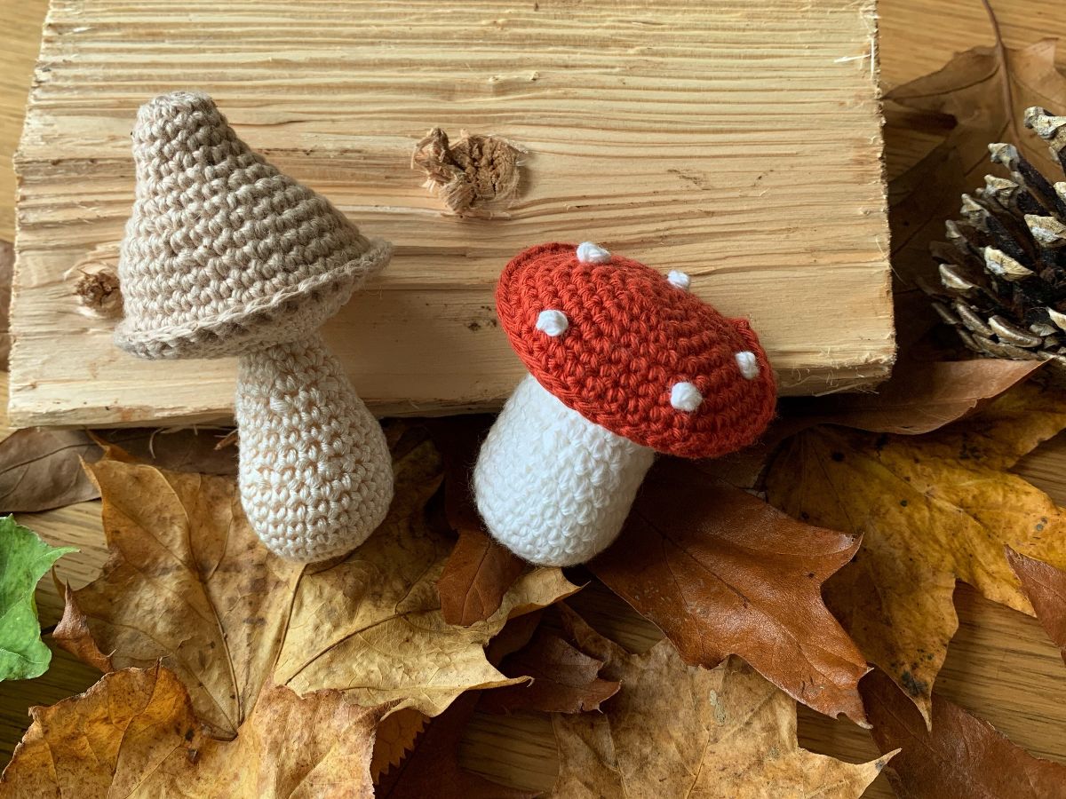 BingleyCraft's tweet photo. Welcome to The Craft House's February Newsletter! ❤ - https://t.co/wlqbuEU6QP
Take a peek at this month's newsletter for news of a fancy London awards ceremony, kitchen updates and lots and lots of fabulous new workshops!
#newsletter #thecrafthouse #Bingley https://t.co/3iEw2E8ysN