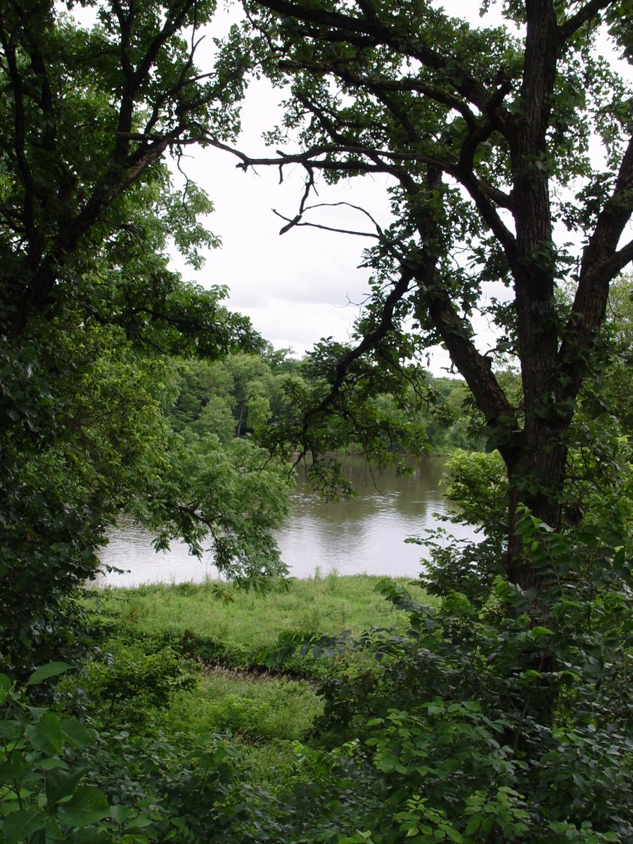 FLW Sites tweet media