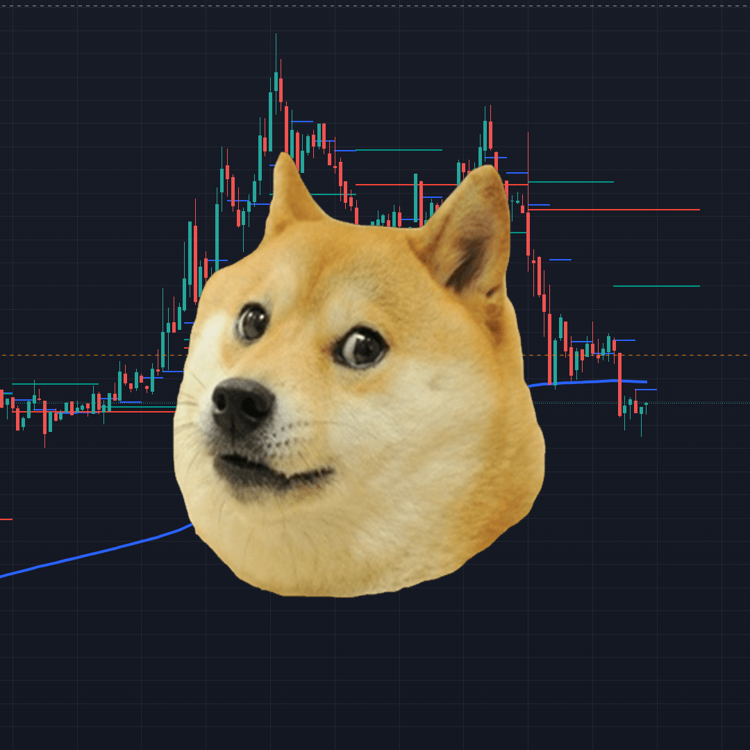 kotakvisualid's tweet photo. and again 🤣🚀

#doge #dogecoin https://t.co/lx9UyrtTUZ