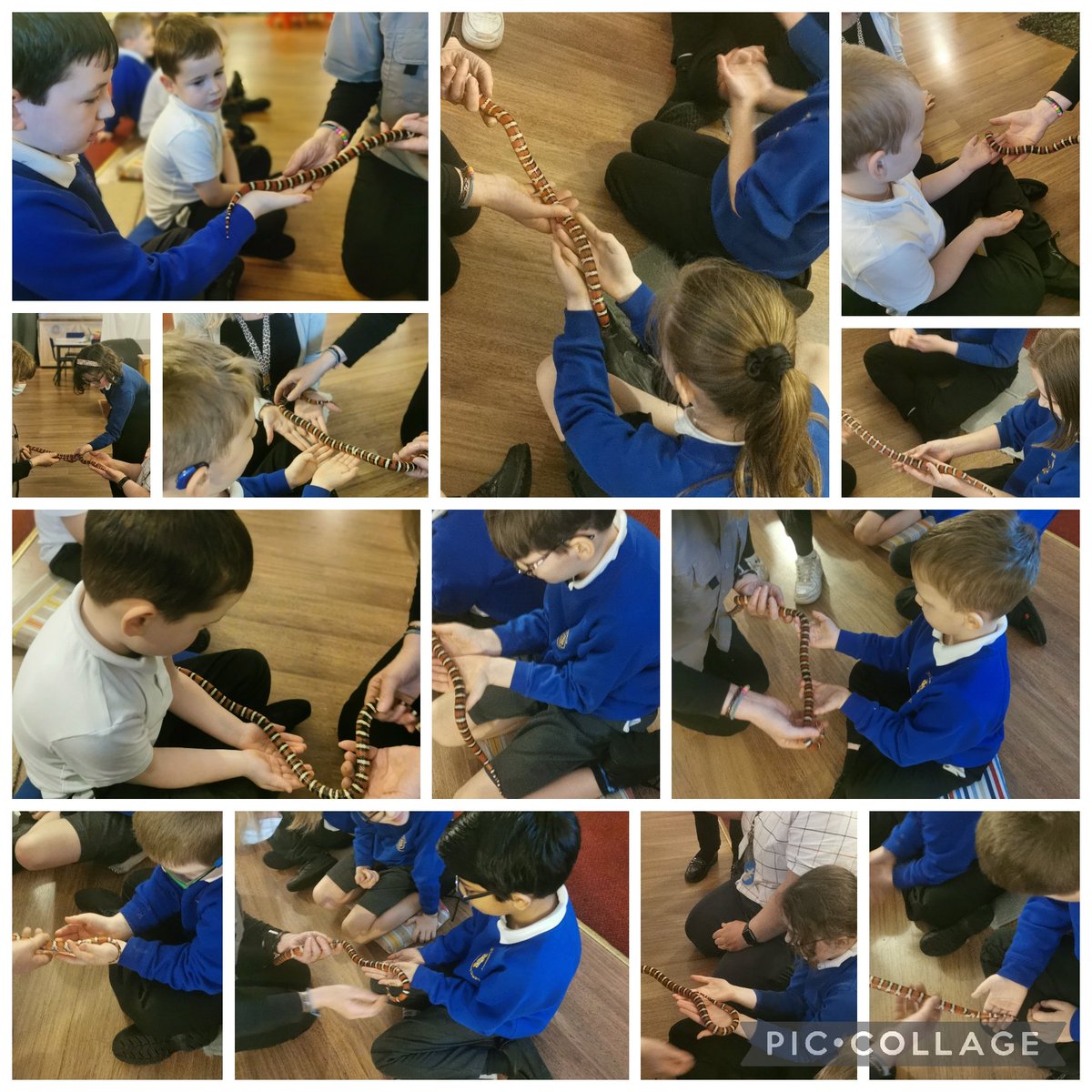 St Joseph's Catholic Primary School, Keighley tweet media