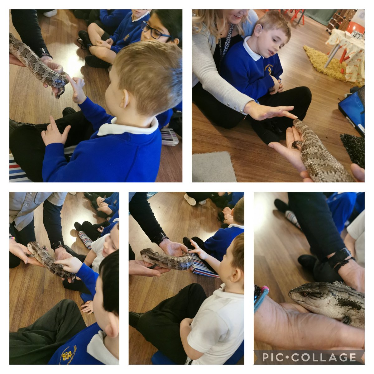 St Joseph's Catholic Primary School, Keighley tweet media