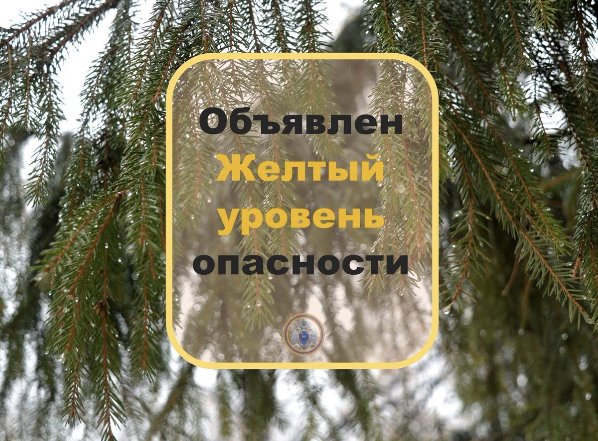 Администрация сельского поселения Подстепки tweet media