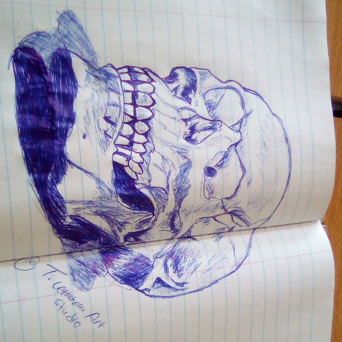 TLetlabola's tweet photo. Just a quick Sketch I did today🌡️
By T Letlabola Art Studio 💀

#penart  #quicksketch  #skulls  #skullart 
#pen #artgallery #artistsoninstagram  #artist 
#arte #artjournal
 #artcollector #artcurator  #arttherapy https://t.co/s50gfQL2ss