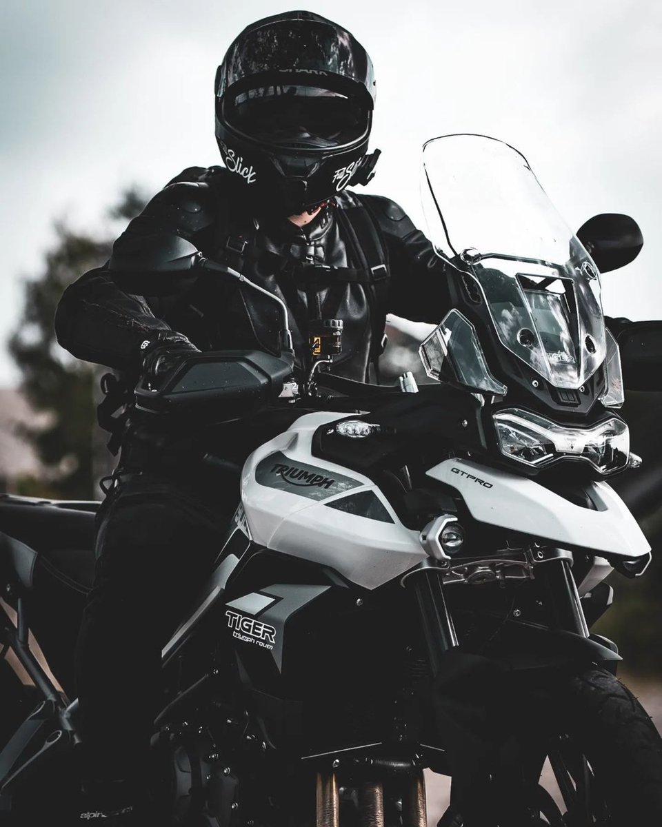 IndiaTriumph's tweet photo. Epic adventures start here. 

#Tiger900 #TriumphTiger #ForTheAdventure #ForTheRide #TriumphIndia 

📷: frankow_rider https://t.co/VdVRuAq0Af