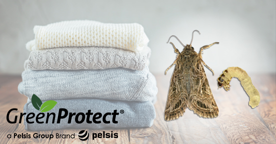 GreenProtect_'s tweet photo. Clothes moths causing you problems? The Green Protect Clothes Moth Trap is an effective pheromone trap, developed with entomoligists, it helps to monitor clothes moths in your home. Available from @RobertDyas. #GreenProtect #TheGreenWay #EcoConscious https://t.co/xH9pITcqLf https://t.co/la5K1lXlpf