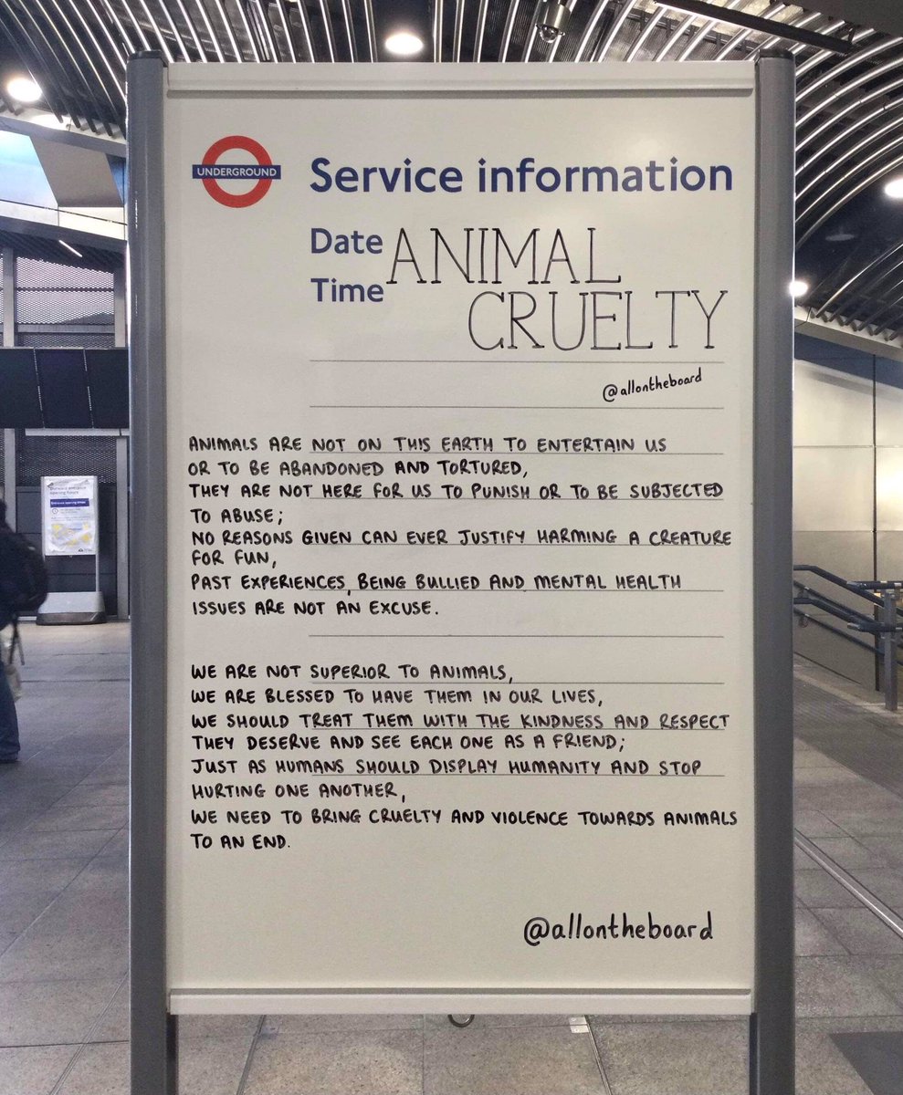 We are not superior to animals, we are blessed to have them in our lives. We need to bring cruelty and violence towards animals to an end.