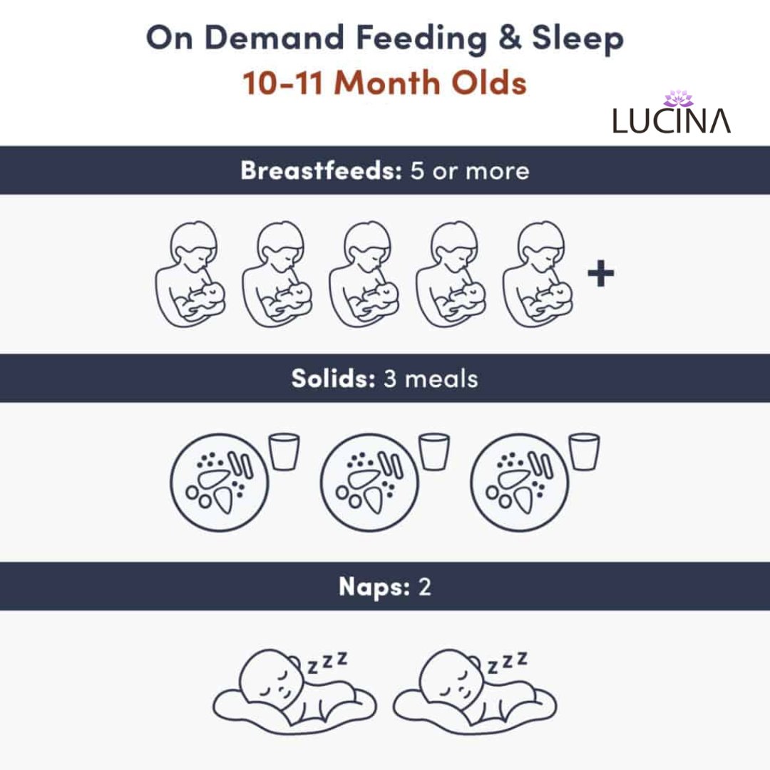 LucinaCare's tweet photo. Expressed breast/human milk or formula: 20 to 30 fluid ounces (591 to 887 milliliters)5
Solids: 3 meals

Baby is likely awake for about 2.75-3 hours at a time, and most babies will nap two times a day.

#breatfeeding #breastfeedingsuccess #lactation #lactationconsultant #ibclc https://t.co/JrAYK9CMnY