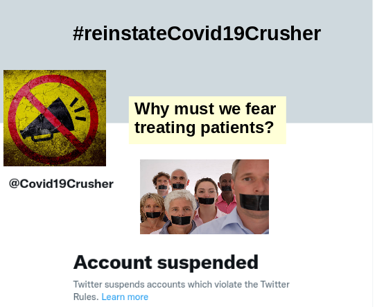 KnowledgeAcqui1's tweet image. Early treatment options for COVID are important for high risk patients.  

@Covid19Crusher WAS one of the best accounts with links to treatment studies.

If you are interested in treatment options, please speak up and get this trending.

#reinstateCovid19Crusher