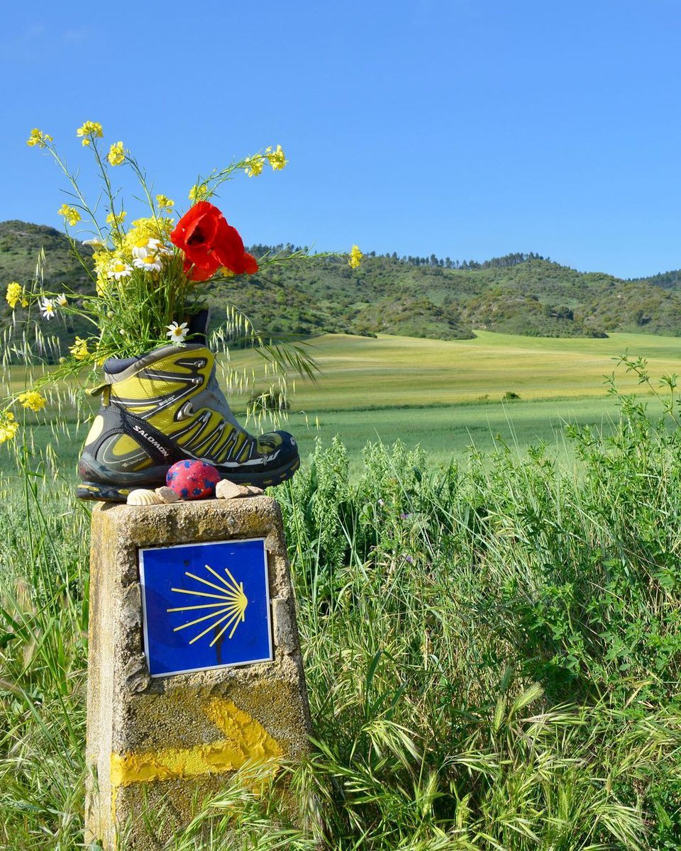 HillwalkTours's tweet photo. Old hiking boots make the best flower pots don't you think?! 🥾🌼🌺❤️

📸 IG/ danvila0
📍 Camino de Santiago, Spain

#hikingboot #flowerpot #recycle #reuse #newpurpose #camino #caminodesantiago #caminofrances #hiking #walking #pilgrimage #spain #hillwalktours https://t.co/1Fwf0zp5j8