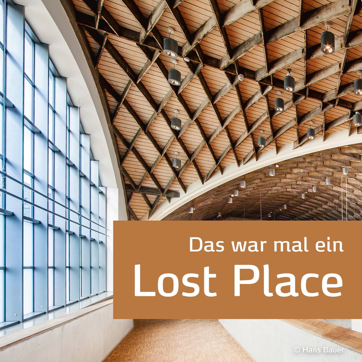 holz_kann tweet picture