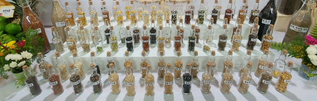 SilkLily74's tweet photo. 半年前に3日間に渡り開催されたトルナラ・オアシス農場内での展覧会の催し物の一部に在来種も並べられ多くの関心を寄せた。
在来種とは植物の品種のうち、ある地方の風土に適し、その地方で長年栽培または育てられたもの。
毎日の食は人の健康と命に直接繋がっている。
何が身体に良い物だろうか？ https://t.co/pkjJha0yPr