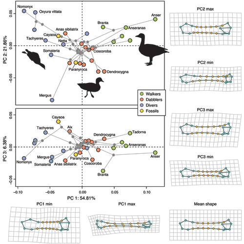 Alberta Claw tweet media