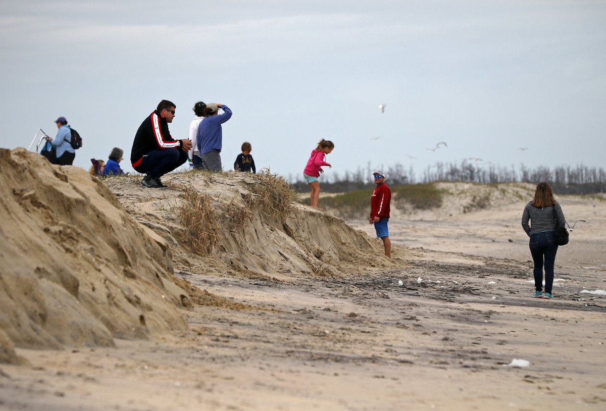 Virginia Sea Grant (@vaseagrant) on Twitter photo How do we align behavior, community #sustainability, and the wider Bay restoration effort to achieve the best outcome for all? Join <a href="/ChesResearch/">Chesapeake Research</a> Feb. 26 from 12-1 pm for a discussion on incorporating social science into Bay #restoration. Register here: bit.ly/3gwrGu5 How do we align behavior, community #sustainability, and the wider Bay restoration effort to achieve the best outcome for all? Join <a href="/ChesResearch/">Chesapeake Research</a> Feb. 26 from 12-1 pm for a discussion on incorporating social science into Bay #restoration. Register here: bit.ly/3gwrGu5