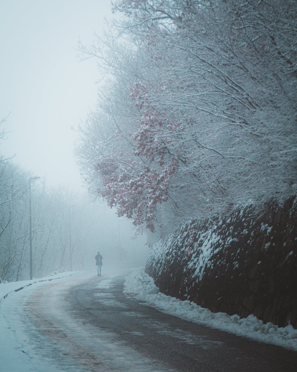 PhotoRambopunk's tweet photo. Photographers!
Which weather condition is your favorite to shoot in? And do you struggle to come by it?
For example i love shooting in the fog, however lately the only weather conditon in Budapest is sunny with strong wind😪
Tell me your struggles⬇️⬇️
#photography #weather #fog https://t.co/DOUYtXocL9