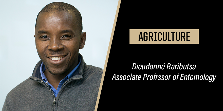 Research at Purdue (@research_purdue) on Twitter photo Join us in celebrating #BlackHistoryMonth and uplifting Black Purdue researchers! Today we highlight Dieudonné Baributsa, an associate professor of entomology who is the principal investigator for the <a href="/PurdueAg/">Purdue Agriculture</a>'s Purdue Improved Crop Storage project in Africa and Asia. Join us in celebrating #BlackHistoryMonth and uplifting Black Purdue researchers! Today we highlight Dieudonné Baributsa, an associate professor of entomology who is the principal investigator for the <a href="/PurdueAg/">Purdue Agriculture</a>'s Purdue Improved Crop Storage project in Africa and Asia.