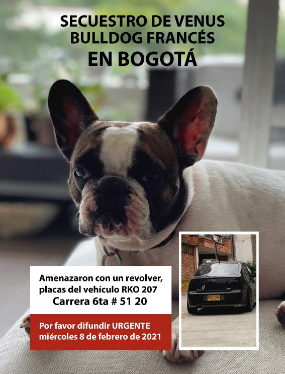 JohaJaramilloP's tweet photo. Nos están chantajeando pidiendo rescate. Debemos dar dos millones si la queremos de regreso. Ella es #Venus y necesitamos de tu ayuda con RT. ¡Nos quitaron un pedazo de nuestro corazón! https://t.co/ZQfJNnNUgp