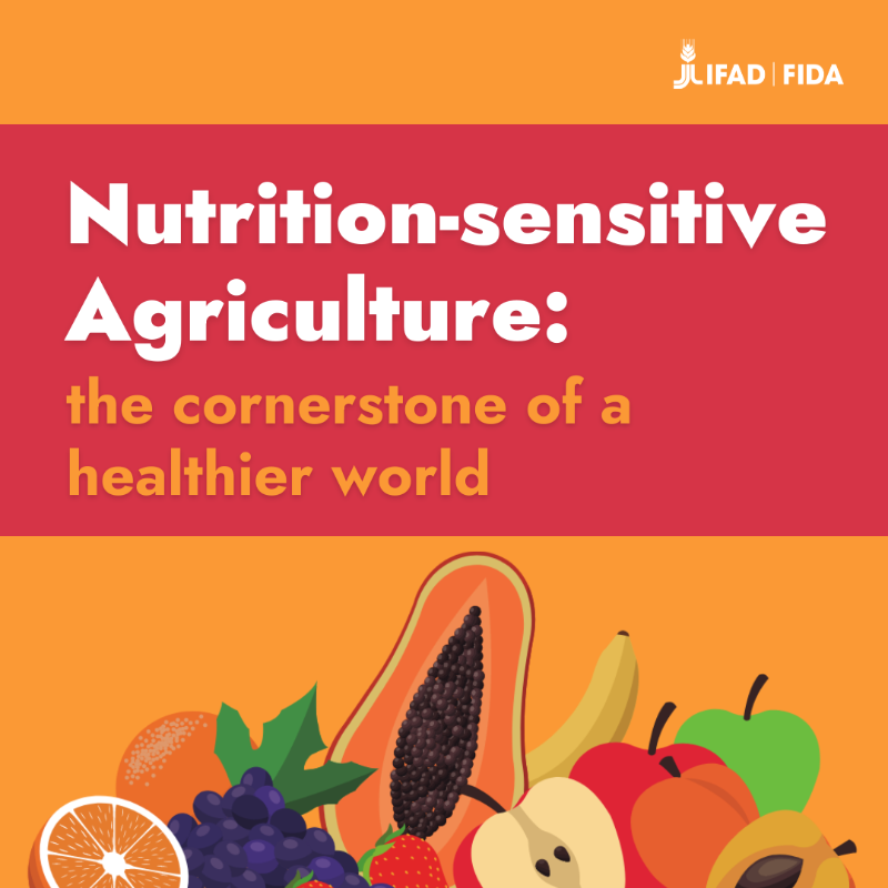 IFAD's tweet photo. Discover more about our best ally to put an 𝗘𝗡𝗗 to malnutrition 👇