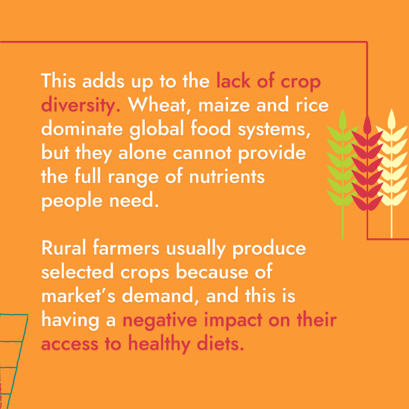 IFAD's tweet photo. Discover more about our best ally to put an 𝗘𝗡𝗗 to malnutrition 👇