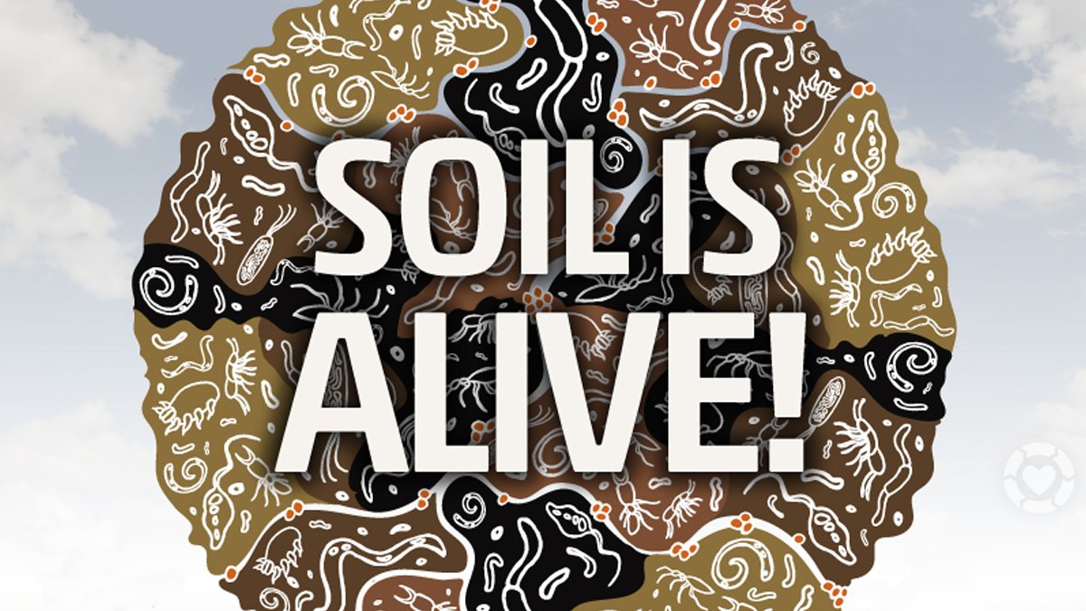 chirag_save's tweet photo. Nutrient deficiency can have a significant impact on agriculture, resulting in reduced crop yield or reduced plant quality. It leads to reduced overall biodiversity since plants support most food webs. Rich soil means rich plants and good harvest. 

#ConsciousPlanet #SaveSoil https://t.co/Du1cXXHuMX