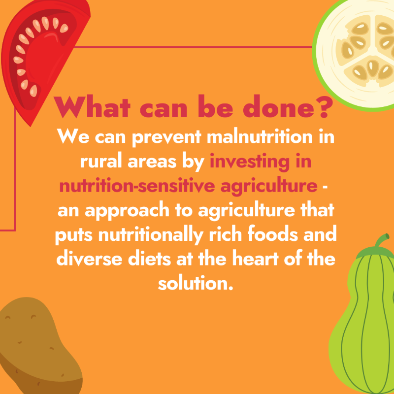 IFAD's tweet photo. Discover more about our best ally to put an 𝗘𝗡𝗗 to malnutrition 👇