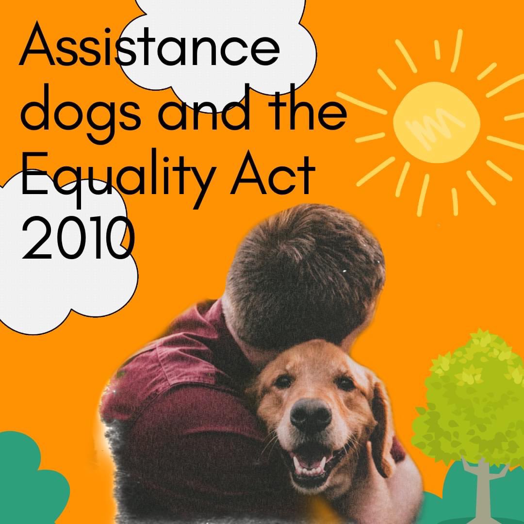 On 29th January, we celebrated the Seeing Eye Dog Day 2022. 

View our latest blog post written by Co-Chair Nadia through the linktr.ee in our bio!