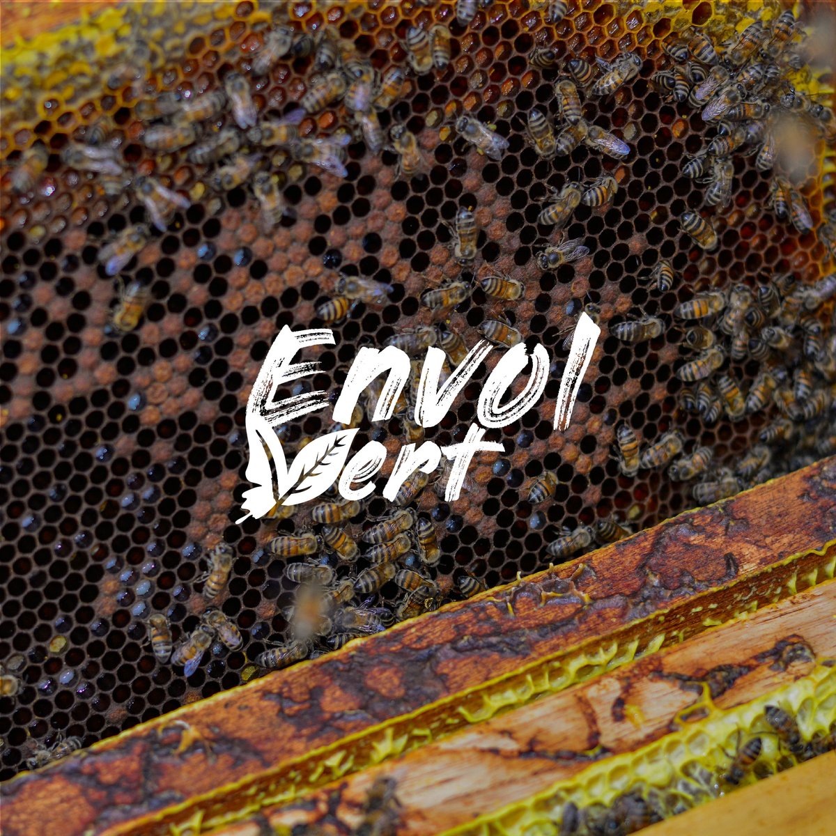 EnvolVertLatino's tweet image. Conoce más sobre este proyecto en: envol-vert.org/es/pro/agricul… ☝🌾

#EnvolVertColombia #EnvolVert #RutaAgroforestal #Colombia #Boyacá