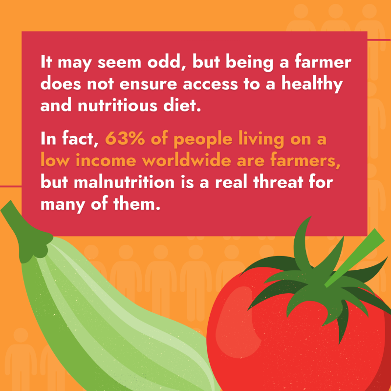 IFAD's tweet photo. Discover more about our best ally to put an 𝗘𝗡𝗗 to malnutrition 👇
