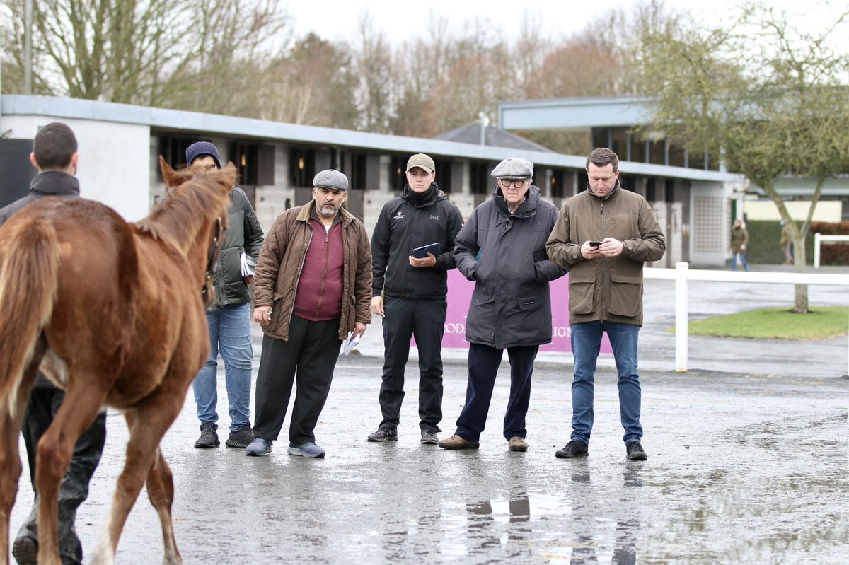 Najd Stud’s 🇸🇦 Saud Al Qahtani & Mohammed Al Salem busy inspecting at @BarodaStudIre with @Doyle_Racing & @DavidSkelly_ @FlyingStartNews 

#GoffsFebruary