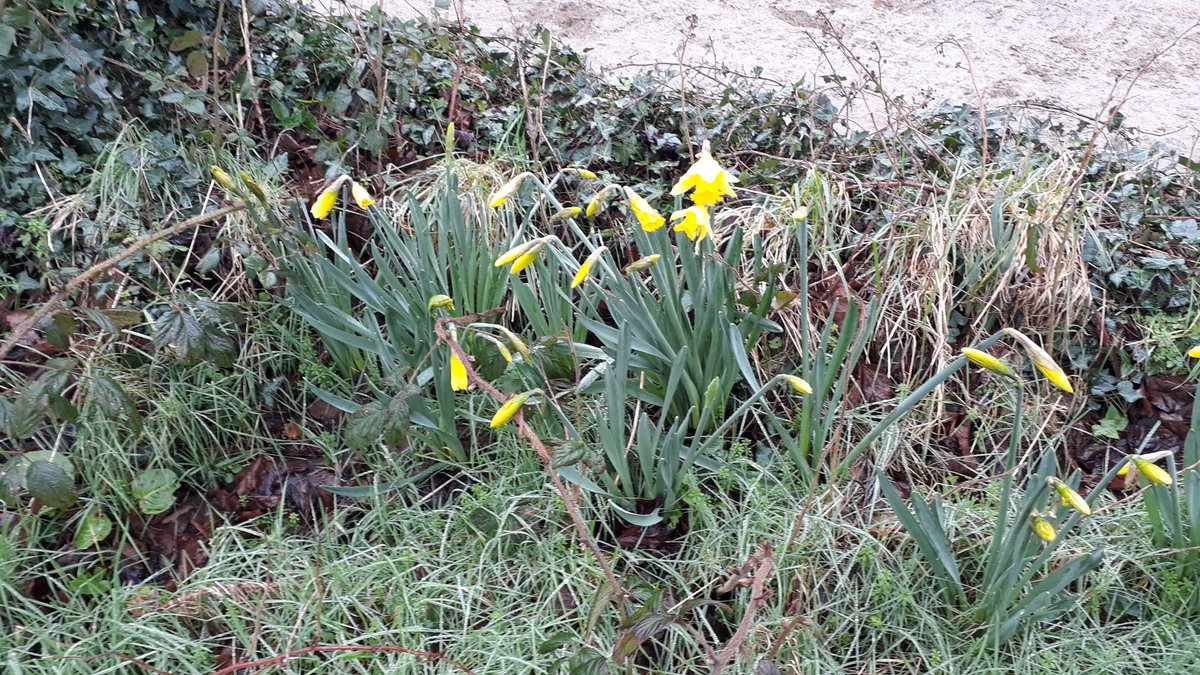 Ryccarr's tweet image. winter is officially  over.  #foolsspring