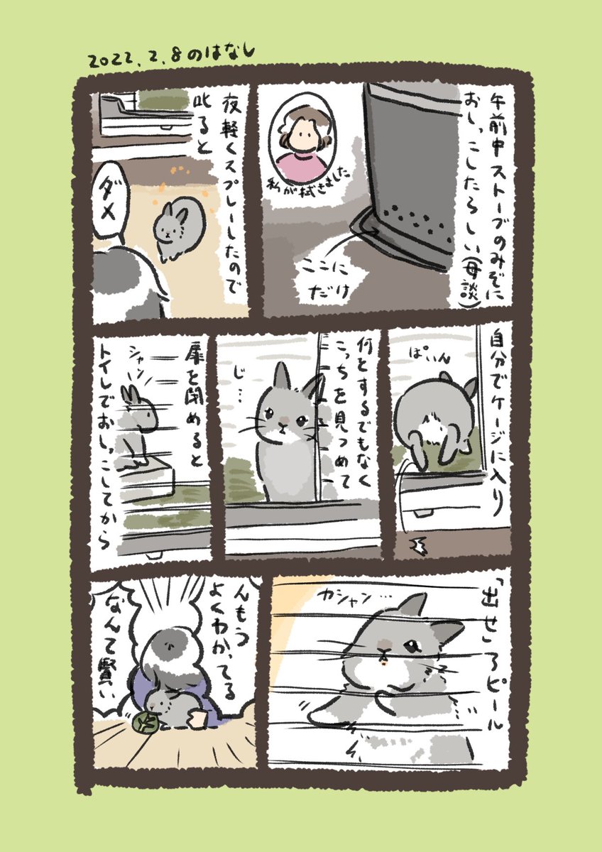 今日のrabbit…
#うさぎのいる生活 