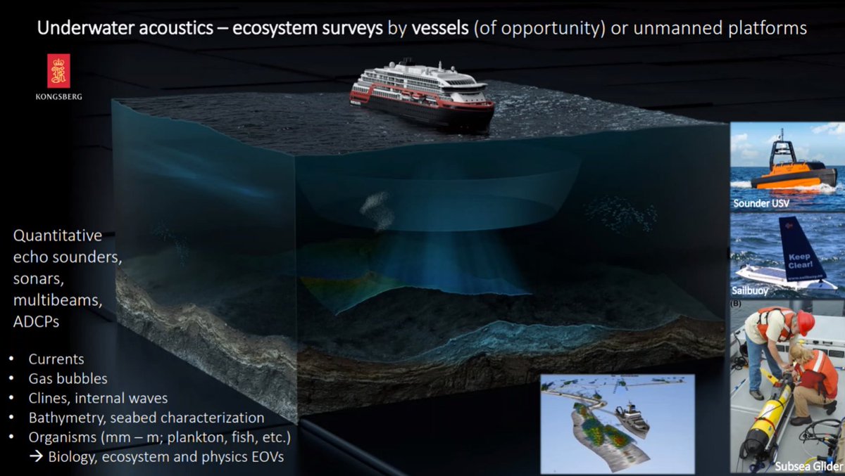 dina_ep's tweet photo. Exciting to see how #OdysseyProject plans to connect with a wide range of #ocean observers from citizen science, sports & recreation to commercial ferries & fishing vessels to close the #marinedata gaps & strengthen @GOOSocean @oceanops_goos @WMO
#OceanDecade #OceanOceanSummit https://t.co/pApdgFDpVE
