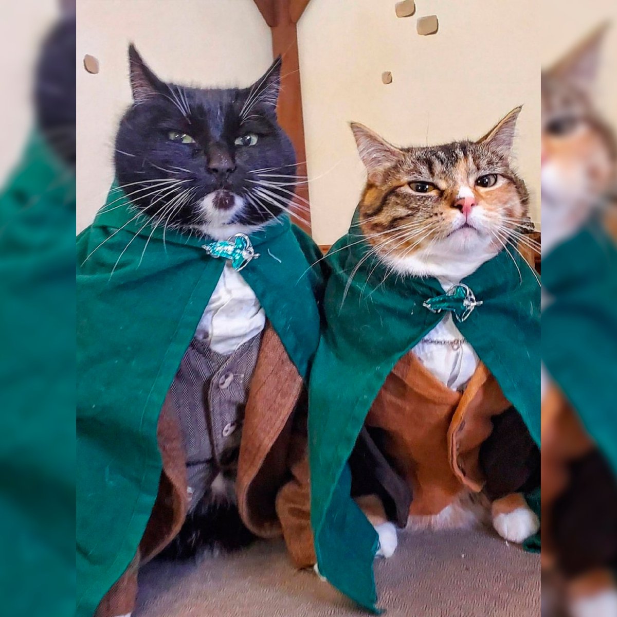 stranger things cat collar