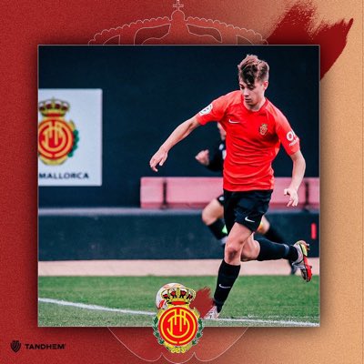 Julen Alvarez tweet media