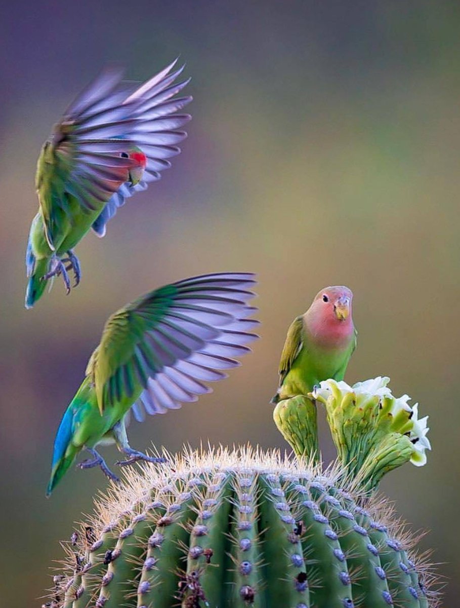 𝑺𝒐𝒇𝒊𝒔𝒕𝒊𝒌𝒂𝒅𝒂 (@sofistikada06) on Twitter photo 