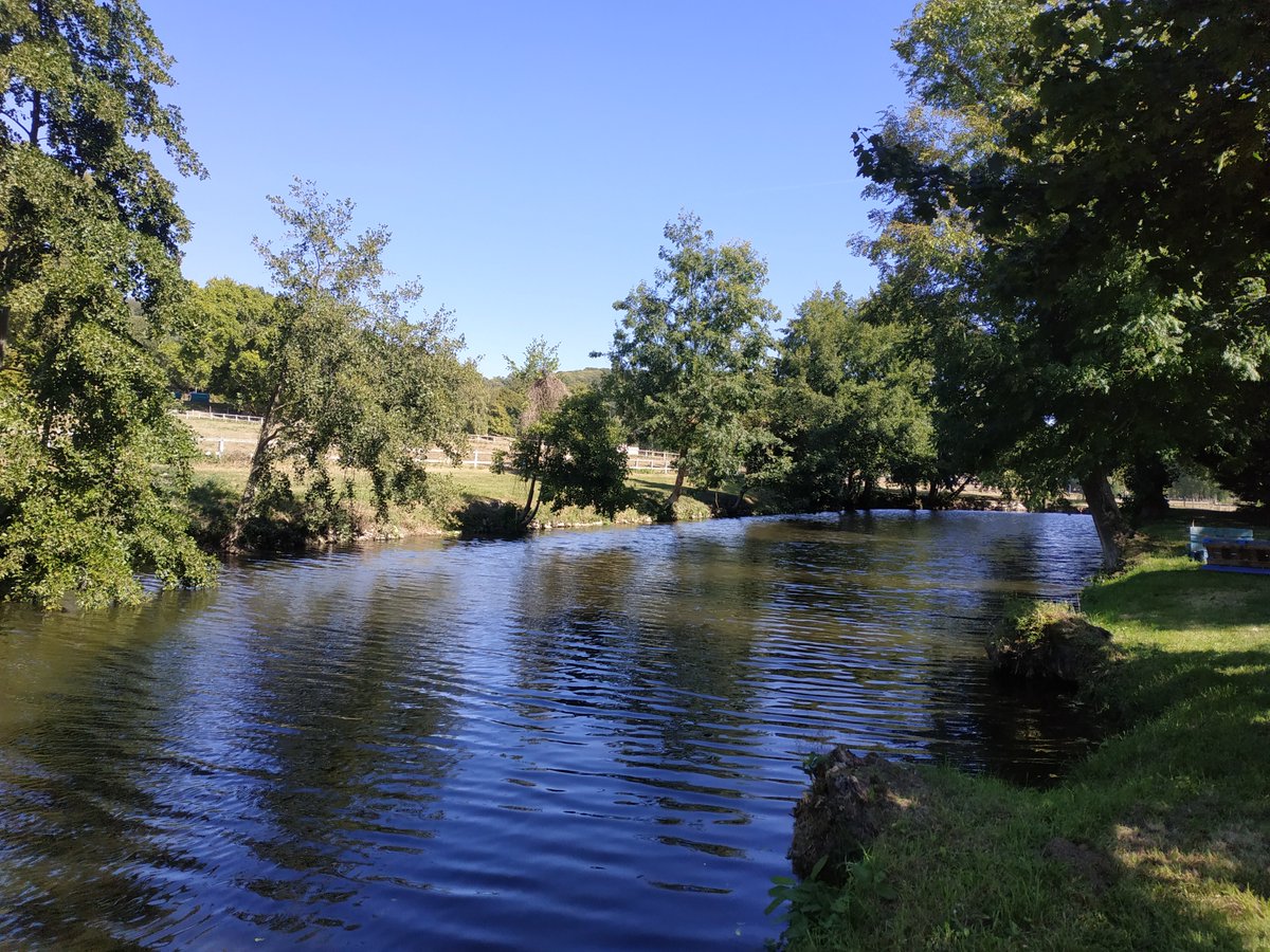 SophieSchbath's tweet photo. Intéressé pour faire de la recherche en MATHS pour la biologie, dans un labo sympa (😇) et un campus exceptionnel (@INRAE_IDF) au coeur de UPSaclay ? Contactez-nous au plus vite pour ce poste CRCN ...
@INRAE_MaIAGE @TwittFMJH https://t.co/DrSNBCijAV