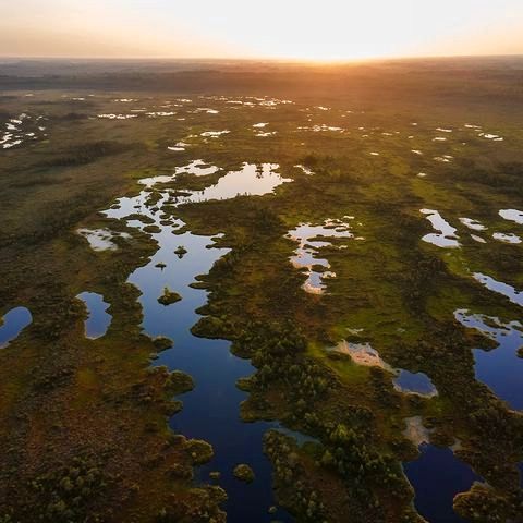 WetlandsIntBR's tweet photo. A restauração de #wetlands é fundamental para a realização de nossas #metasclimáticas. 🌍
👉https://t.co/ZJMyML4Ivu https://t.co/rNez9QoEVi