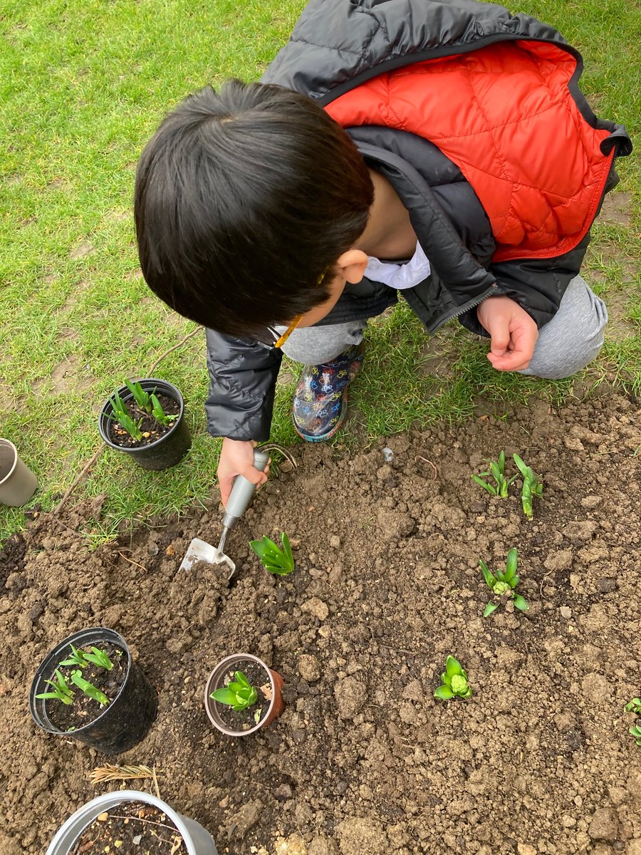 StChrisJunior's tweet photo. During Forest School today Year 1 & 2 enjoyed getting the flower beds ready for spring! We’re looking forward to seeing them bloom! #jgroup #hgroup #mystchris https://t.co/cDWFy08xSe