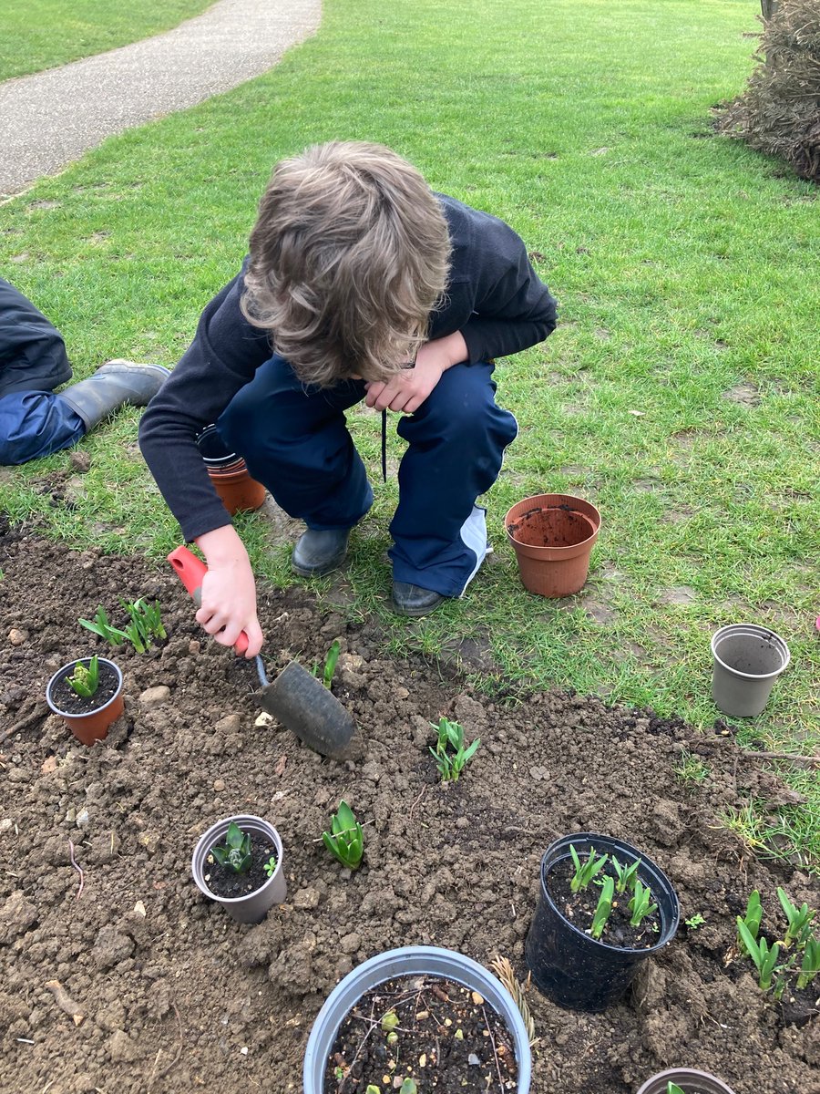 StChrisJunior's tweet photo. During Forest School today Year 1 & 2 enjoyed getting the flower beds ready for spring! We’re looking forward to seeing them bloom! #jgroup #hgroup #mystchris https://t.co/cDWFy08xSe