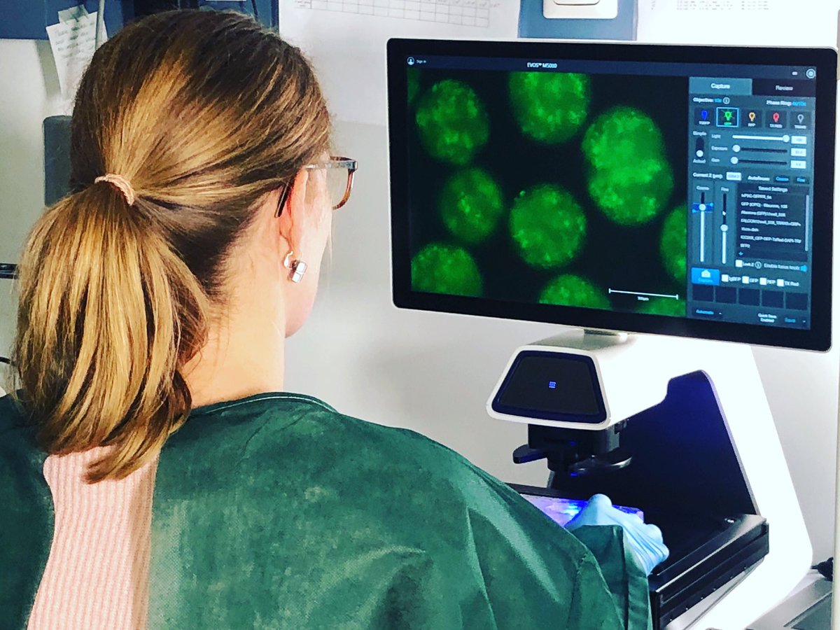 Apply Now: We are offering a brand new fully funded PhD program for medical students: the Clinician Scientist Program. Check out here for details: cognition.maxplanckschools.org/en/csp #passionforscience 🧠🫀